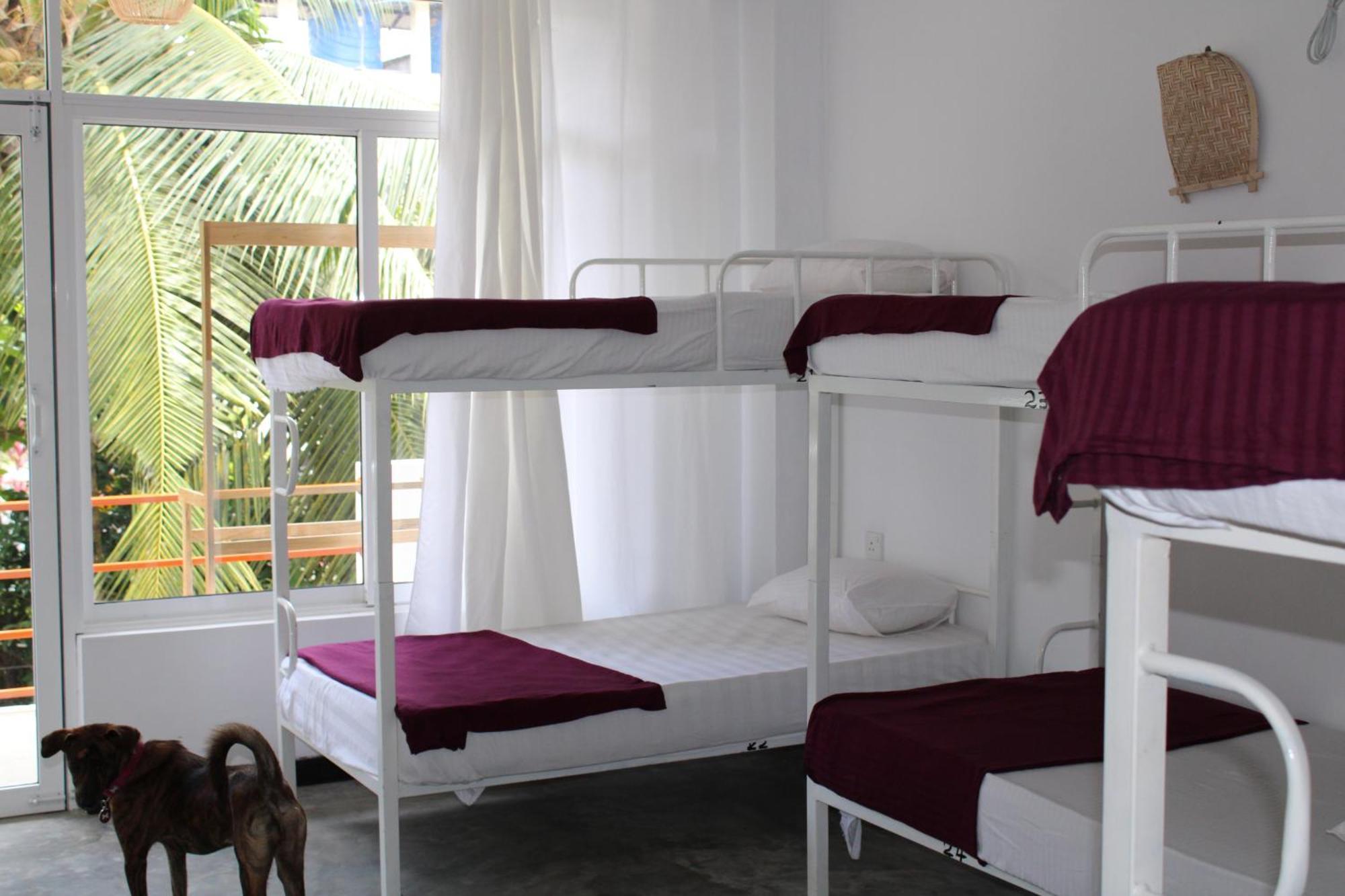 Sun & Moon Hostel Mirissa Extérieur photo